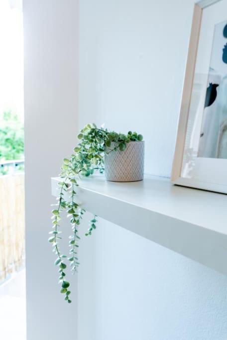 Grape Apartment Bratislava Eksteriør billede