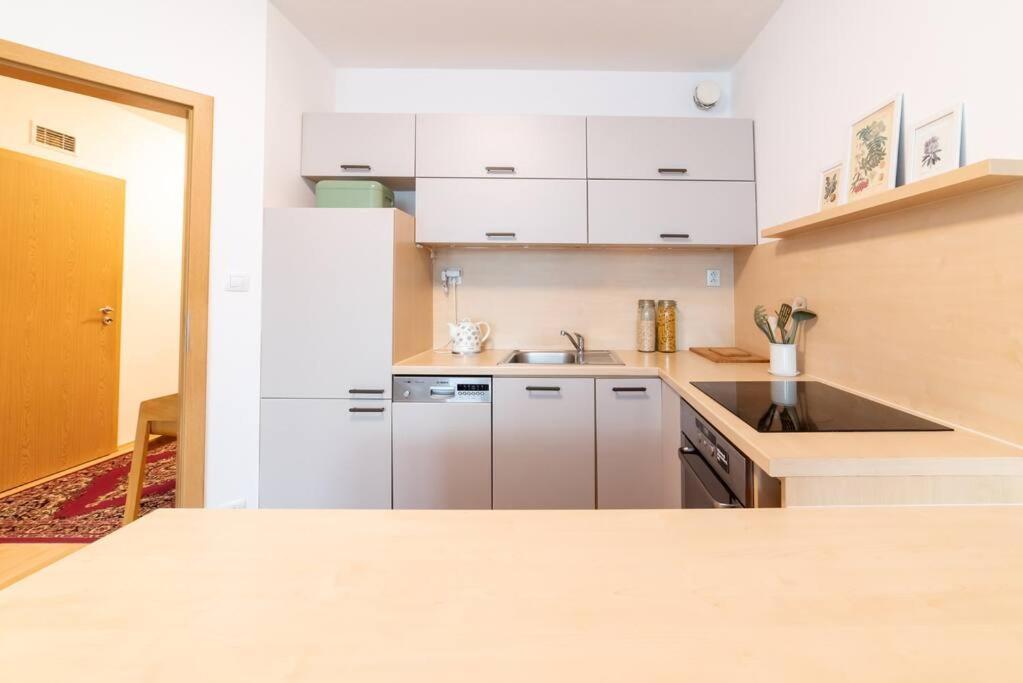 Grape Apartment Bratislava Eksteriør billede